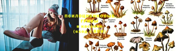 мефедрон мука Алзамай