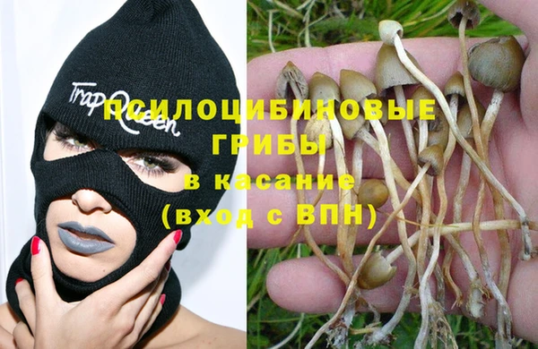 метадон Алексин