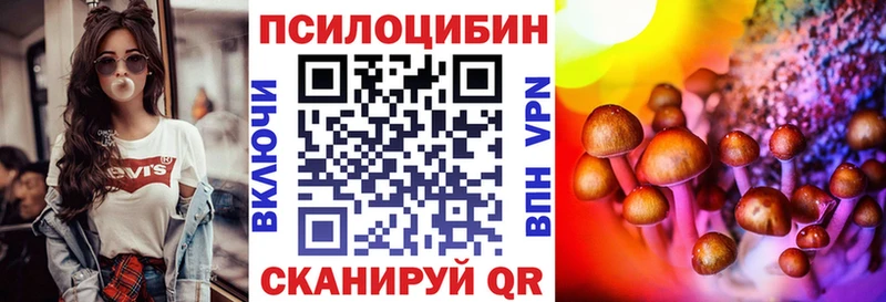 Псилоцибиновые грибы Cubensis  где купить наркоту  Покров 